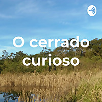 O cerrado curioso