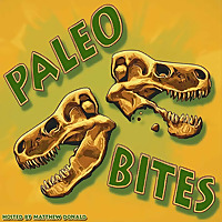 Paleo Bites