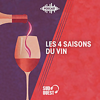 Les quatre saisons du vin