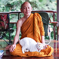 Luangpor Paisal Visalo's Podcast (ธรรมะ จาก หลวงพ่อไพศาล วิสาโล)