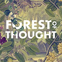 Forest of Thought