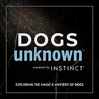 Dogs Unknown