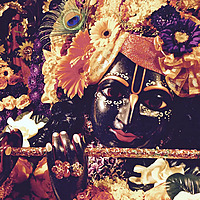 Concrete Jungle Kirtan