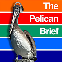 The Pelican Brief