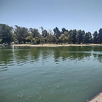 It's A Long Beach Thing