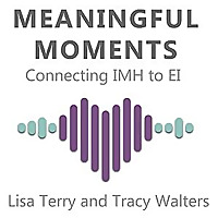 Meaningful Moments - Connecting IMH to EI