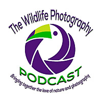 Wildlife Photography