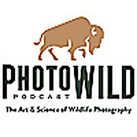 The PhotoWILD Podcast