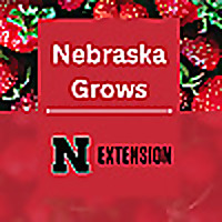 Nebraska Grows