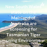 Tasmanian Tiger mainland Australia -2023.