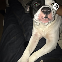 The Maximum N.I.C./The Maxx Experience