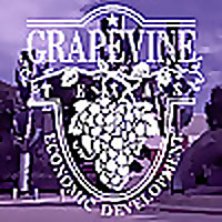 Growing Grapevine