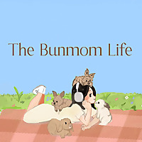 The Bunmom Life Podcast