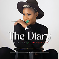 The Diary of a Naija Immigrant
