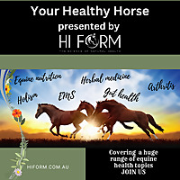 Hi Form