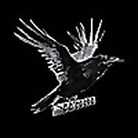 Vaping Raven - Life of Vapor