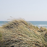 Central Church - A church in Edinburgh, Scotland
