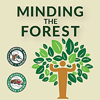 Minding the Forest