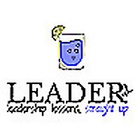 LEADERish: leadership lessons, straight up