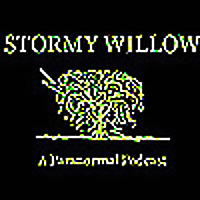 Stormy Willow: A Paranormal Podcast