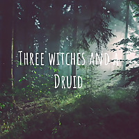 Three Witches and a Druid
