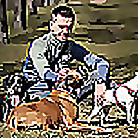 Hunde besser verstehen