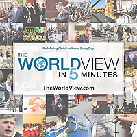 The WorldView in 5 Minutes
