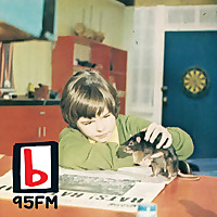 95bFM: Psychic Glands