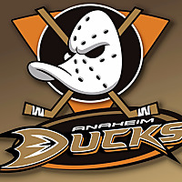 The Hockey Pod