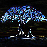 南怀瑾在上海国家会计学院演讲录