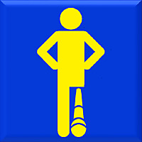 The Prosthetic Paradigm