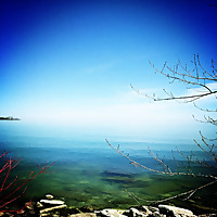 执业（助理）医师-消化系统