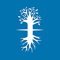 Занимаемся наукой Каббала #kab_rus