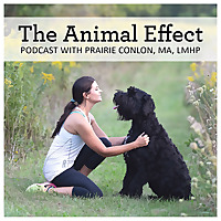 The Animal Effect