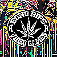 Bong Rips and Video Games