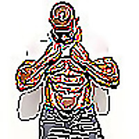 The Roger Snipes Show