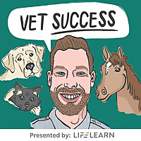 The Veterinarian Success Podcast