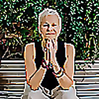 The Hormone Lifestyle Zone