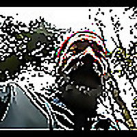 The Running Jackal
