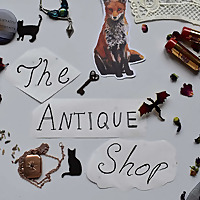The Antique Shop