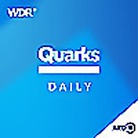 Quarks Daily
