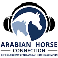 The Arabian Horse Connection