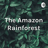 The Amazon Rainforest