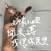 好味小姐開束縛我還你原形
