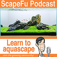 The ScapeFu Podcast