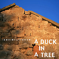 A Duck in a Tree