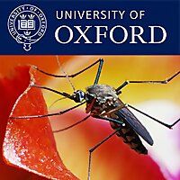 Malaria