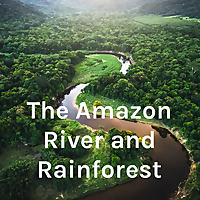 The Amazon River and Rainforest