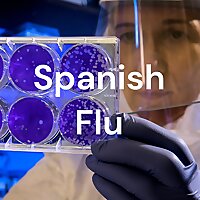 Spanish Flu