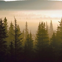 The EAT Community Podcast